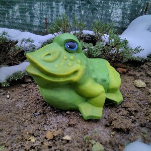 CP111 - Жаба голяма нова