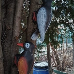 CP128 - Кълвач малък
