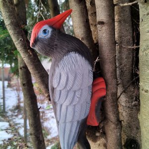 CP129 - Кълвач голям