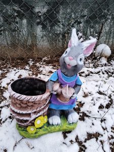 CP156 - Заек с кош нов
