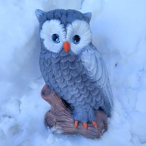 CP159 - Бухал на клон малък