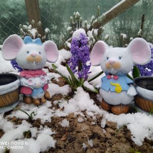 CP172 - Мишки женска и мъжка малки с кош