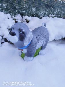 CP196 - Санбернар среден