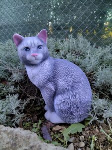 CP197 - Котка права