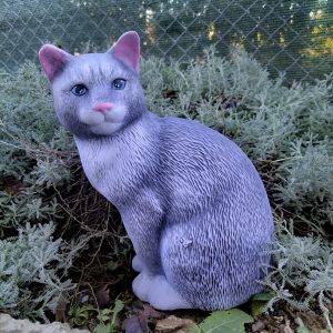 CP197 - Котка права