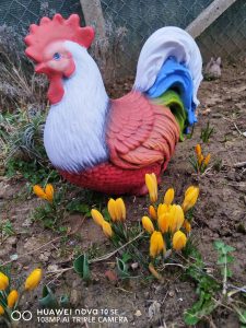 CP244 - Петел нов голям