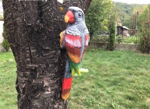 градински керамичен папагал