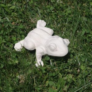 Жаба С Четири Крака - 1022